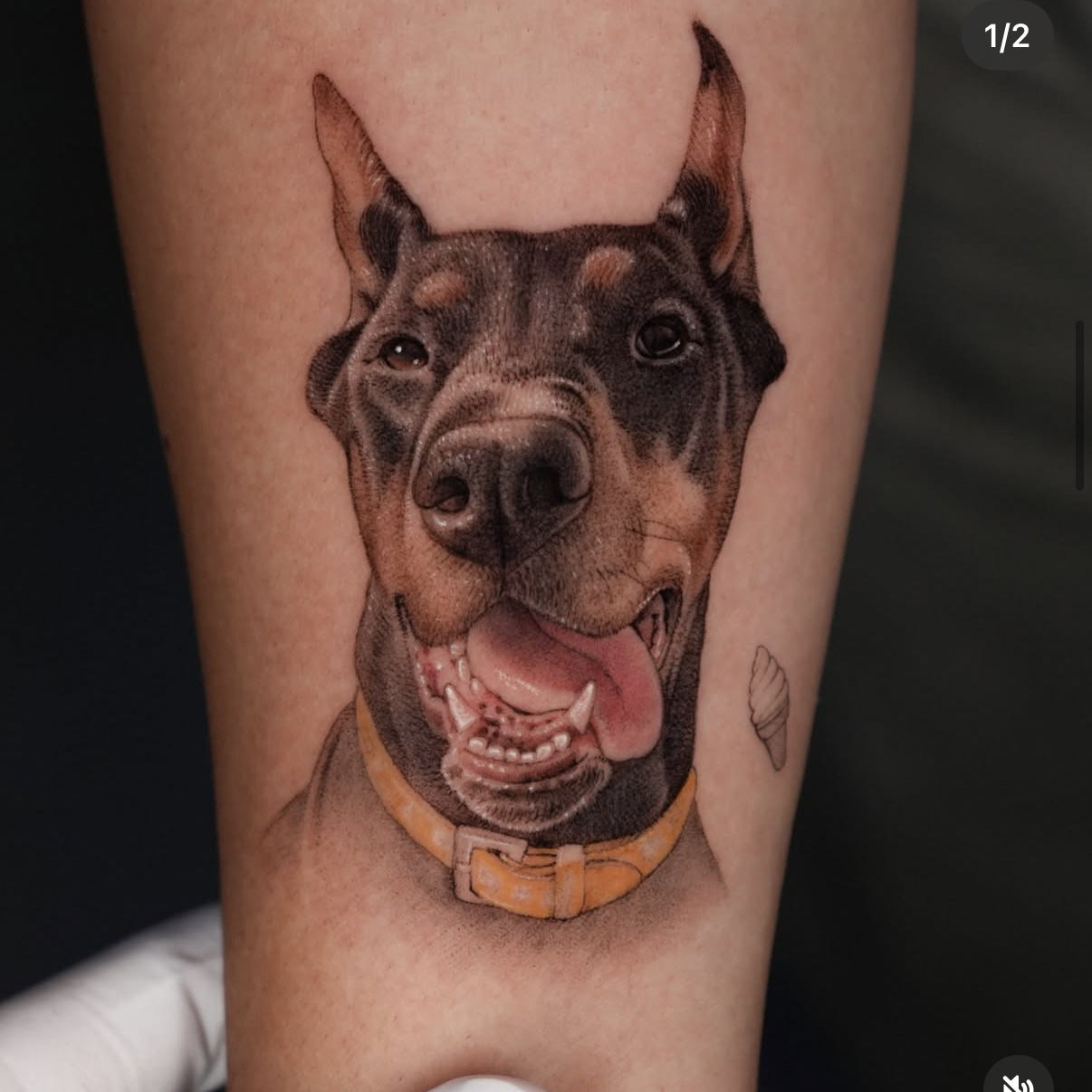 Ali Dundarr — Pet portrait Anubis