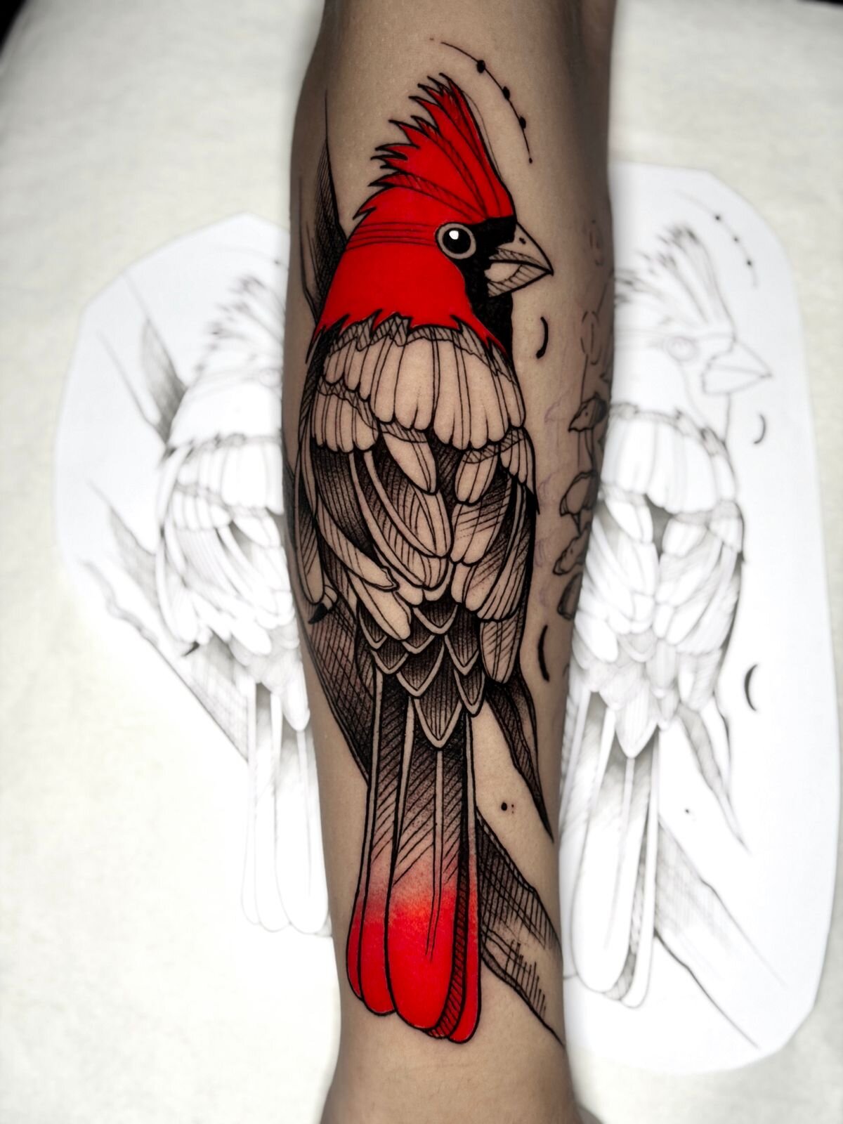 Chris — Cardinal
