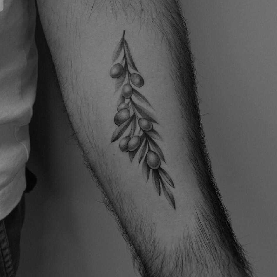 Kosay — Olive branch